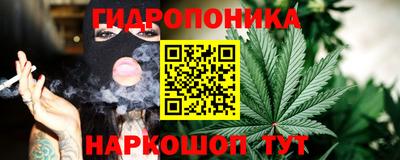 гашик Краснознаменск